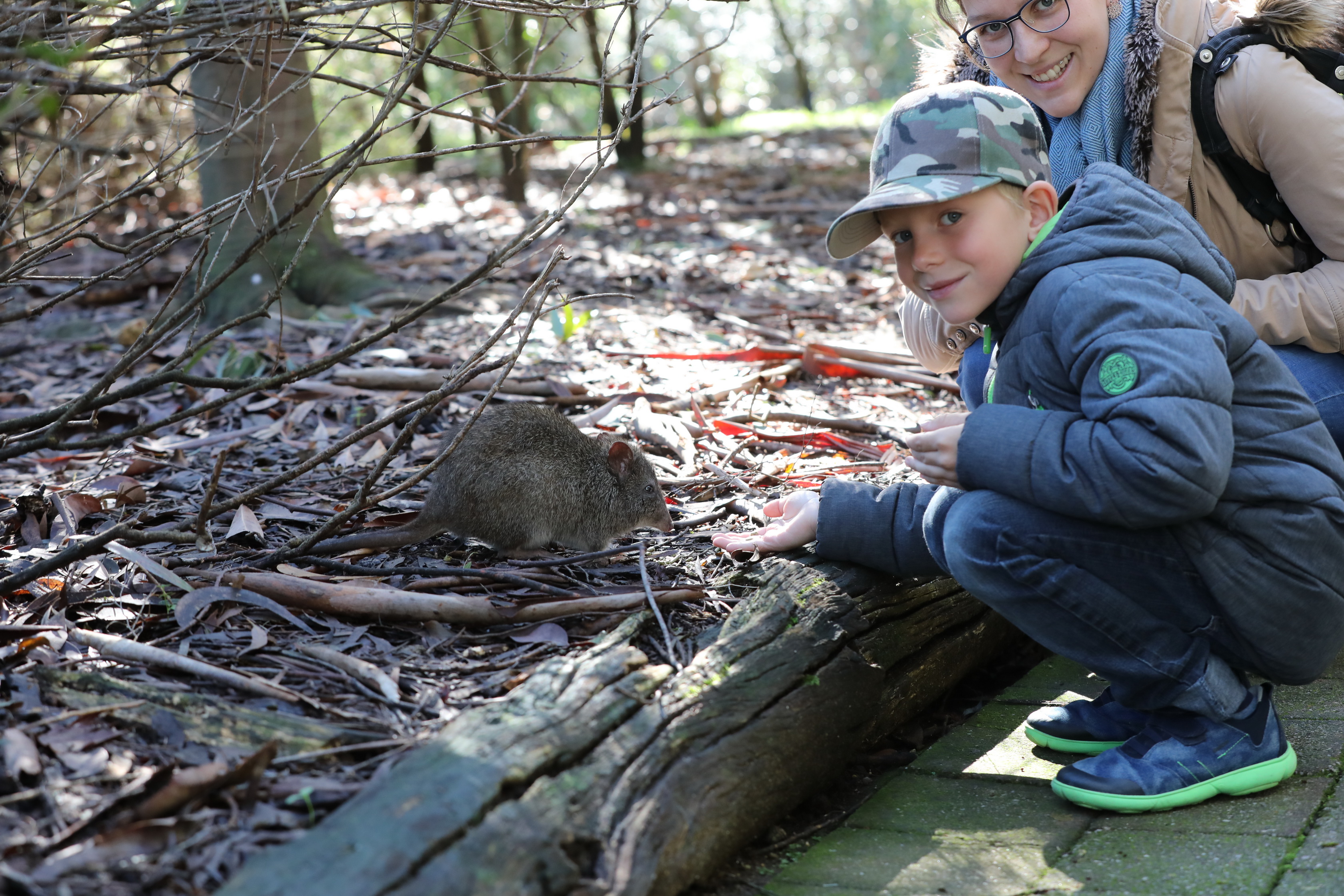 2019 07 19 12 52 27 Canon EOS 5D Mark IV 0001